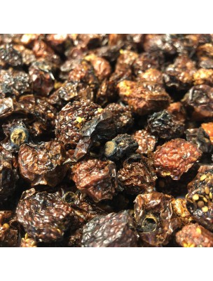 Image de Alkékenge - Baies 100g - Tisane de Physalis alkekengi via Salsepareille grise du Mexique - Racine coupée 100g