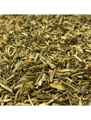 Image de Centaurée petite - Sommité fleurie coupée 100g - Tisane d'Erythraea centaurium depuis Résultats de recherche pour "15 ml empty bot"