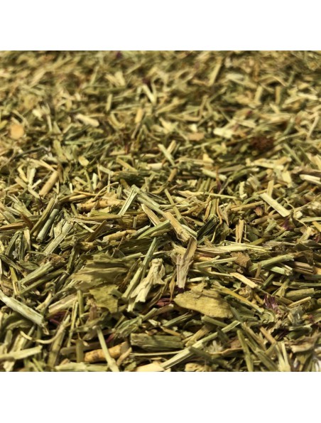 Achetez Centaurée petite - Sommité fleurie coupée 100g - Tisane d'Erythraea centaurium à l'herboristerie Louis Image principale de Centaurée petite - Sommité fleurie coupée 100g - Tisane d'Erythraea centaurium