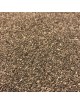 Ache des marais - Graines 100g - Tisane d\'Apium graveolens
