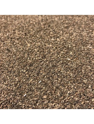 Image de Ache des marais - Graines 100g - Tisane d'Apium graveolens depuis Produits de phytothérapie en ligne