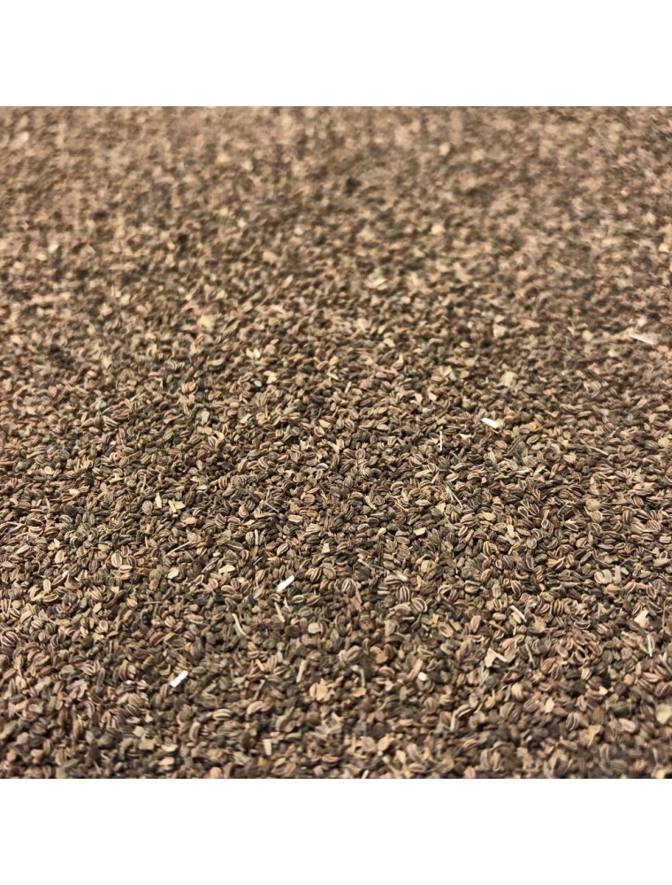 Image principale de la modale pour Ache des marais - Graines 100g - Tisane d'Apium graveolens