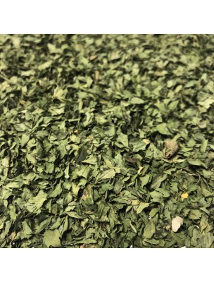 Image de Ache des marais - Feuille coupée 100g - Tisane d'Apium graveolens depuis louis-herboristerie