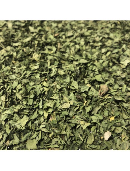 Achetez Ache des marais - Feuille coupée 100g - Tisane d'Apium graveolens à l'herboristerie Louis Image principale de Ache des marais - Feuille coupée 100g - Tisane d'Apium graveolens