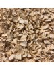 Ache des marais - Racine coupée 100g - Tisane d\'Apium graveolens