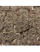 Absinthe petite - Sommité coupée 100g - Tisane d\'Artemisia pontica