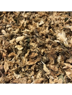 Image de Acacia robinier - Fleurs 100g - Tisane de Robinia pseudo acacia depuis Achetez vos Tisanes en ligne