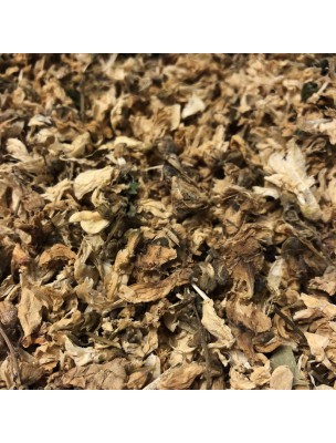 Image de Acacia robinier - Flowers 100g - Herbal tea from Robinia pseudo acacia depuis Plants and herbal teas in bags