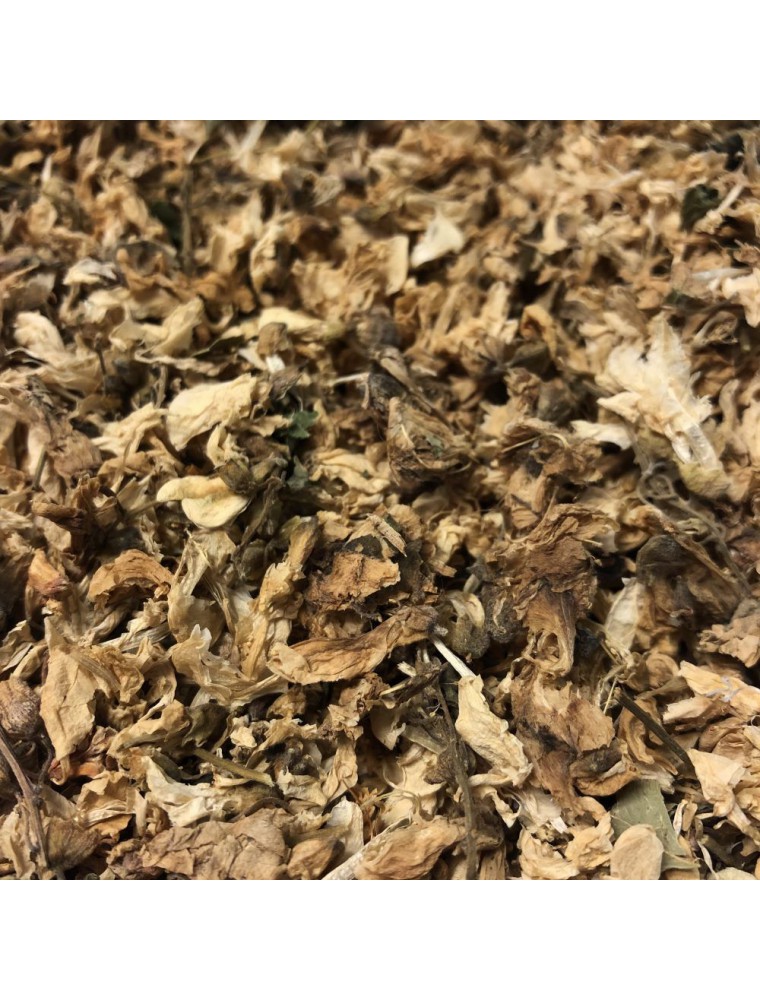 Image principale de la modale pour Acacia robinier - Fleurs 100g - Tisane de Robinia pseudo acacia