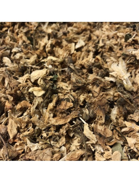 Image principale de Acacia robinier - Fleurs 100g - Tisane de Robinia pseudo acacia