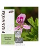 Géranium rosat var Bourbon Bio - Pelargonium x asperum bourbon 10 ml - Pranarôm