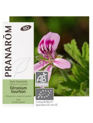 Image de Géranium rosat var Bourbon Bio - Pelargonium x asperum bourbon 10 ml - Pranarôm via Neem (Margousier) Bio - Huile végétale 1000 ml - Bioflore