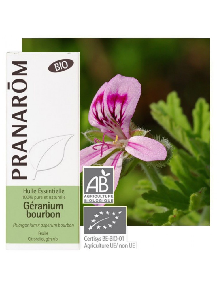 Géranium rosat var Bourbon Bio - Pelargonium x asperum bourbon 10 ml - Pranarôm