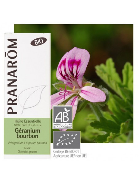 Image principale de Géranium rosat var Bourbon Bio - Pelargonium x asperum bourbon 10 ml - Pranarôm