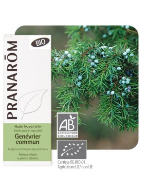 Image de Genévrier Bio - Huile essentielle Juniperus communis var alpina 5 ml - Pranarôm depuis Huiles essentielles contre les douleurs articulaires
