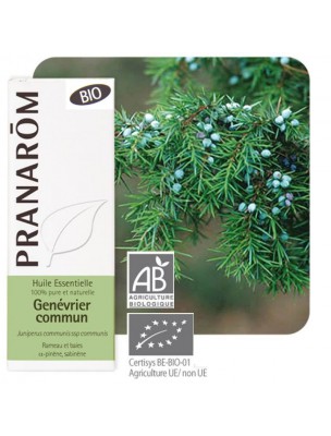 Image de Genévrier Bio - Huile essentielle Juniperus communis var alpina 5 ml - Pranarôm via Genévrier Bio - Hydrolat 200 ml - Abiessence