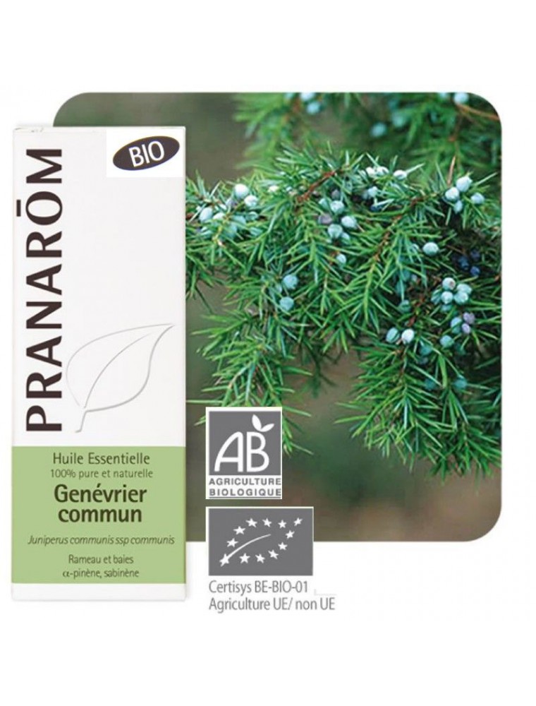 Image principale de la modale pour Genévrier Bio - Huile essentielle Juniperus communis var alpina 5 ml - Pranarôm