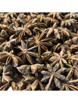 Image de Anis étoilé (badiane) Bio - Fruit complet 100g - Tisane d'Illicium verum Hook. F. depuis Commandez les produits Louis Bio à l'herboristerie Louis