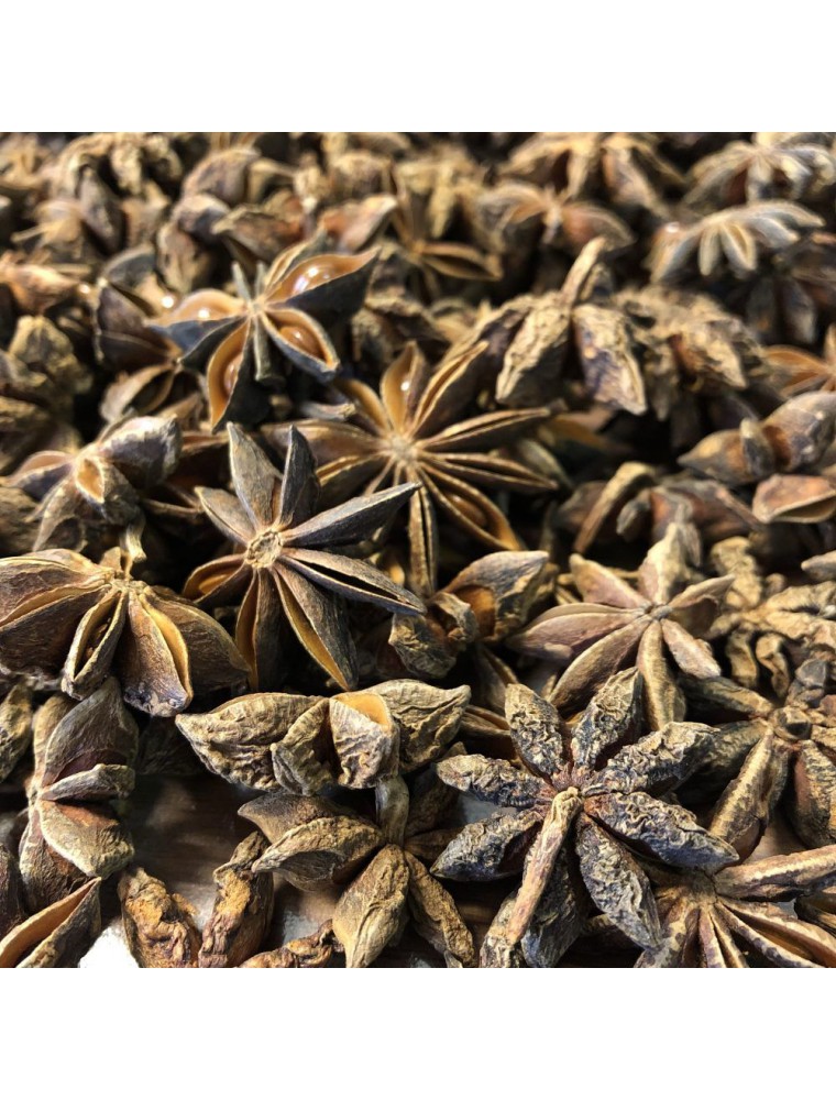 Image principale de la modale pour Anis étoilé (badiane) Bio - Fruit complet 100g - Tisane d'Illicium verum Hook. F.