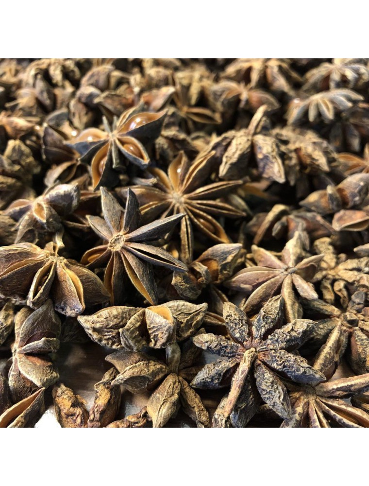 Image principale de la modale pour Anis étoilé (badiane) Bio - Fruit complet 100g - Tisane d'Illicium verum Hook. F.