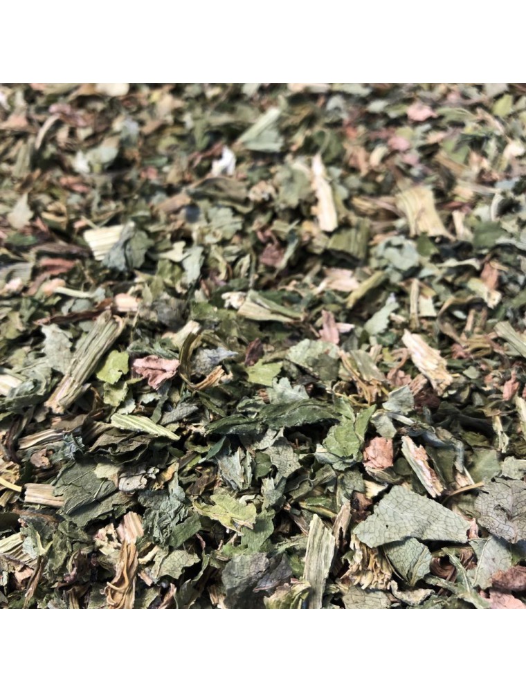 Image principale de la modale pour Angélique - Feuille coupée 100g - Tisane d'Angelica archangelica