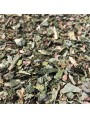 Image de Angelica - Cut leaf 100g - Angelica archangelica herbal tea via Buy Angelica organic tincture - Digestion and tonic