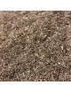 Aneth - Feuilles coupées 100g - Tisane d\'Anethum graveolens L.