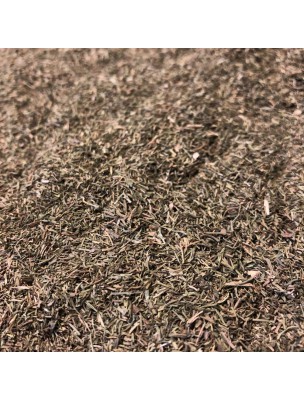 Image de Aneth - Feuilles coupées 100g - Tisane d'Anethum graveolens L. depuis Tisanes unitaires de qualité en ligne - Commandez maintenant !