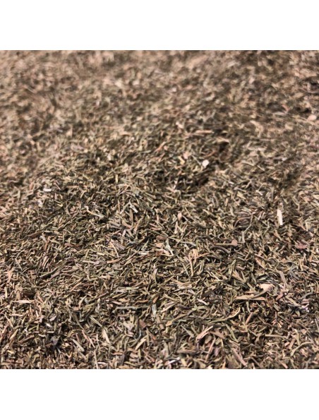 Image principale de Aneth - Feuilles coupées 100g - Tisane d'Anethum graveolens L.