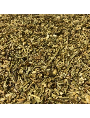 Image de Achillée musquée - Partie aérienne coupée 50g - Tisane d'Achillea moschata depuis Plantes de l'herboristerie Louis