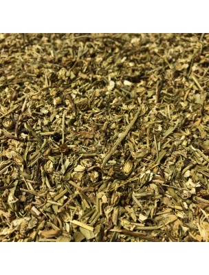 Image de Achillée musquée - Partie aérienne coupée 50g - Tisane d'Achillea moschata depuis ▷▷ Tisanes de plantes commençant par la lettre A