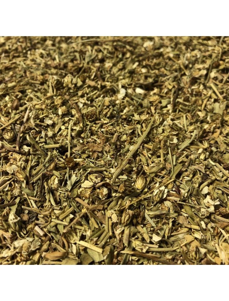 Achillée musquée - Partie aérienne 100g - Tisane d'Achillea moschata Achillée musquée - Partie aérienne 100g - Tisane d'Achillea moschata