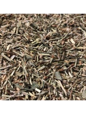 Image de Renouée - Partie aérienne coupée 100g - Tisane de Polygonum aviculaire depuis louis-herboristerie