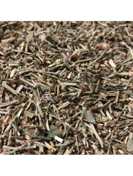 Image principale de Renouée - Partie aérienne coupée 100g - Tisane de Polygonum aviculaire