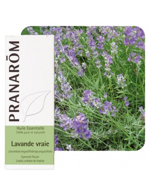 Image de Lavande vraie - Huile essentielle Lavandula angustifolia 10 ml - Pranarôm depuis PrestaBlog