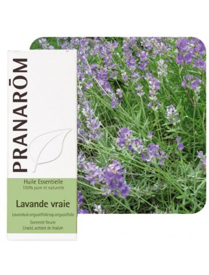 Image de Lavande vraie - Huile essentielle Lavandula angustifolia 10 ml - Pranarôm depuis Résultats de recherche pour "Cedar of Lebano"