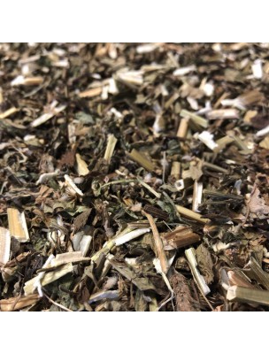 Image de Agripaume - Sommité coupée 100g - Tisane de Leonurus cardiaca via Arjuna Bio - Santé Cardio-Vasculaire - Ayur-Vana