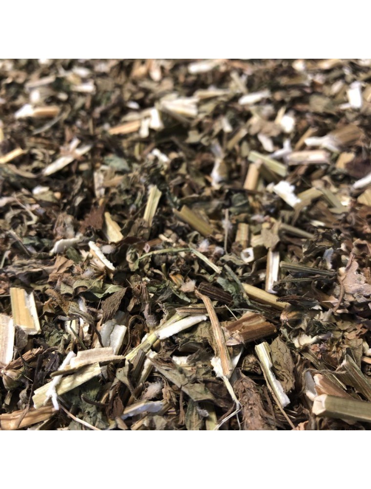 Image principale de la modale pour Agripaume - Sommité coupée 100g - Tisane de Leonurus cardiaca