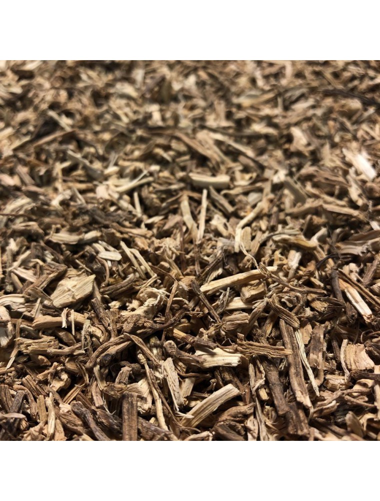 Ortie Piquante - Racine 100g - Tisane Urtica dioica L. Ortie Piquante - Racine 100g - Tisane Urtica dioica L.