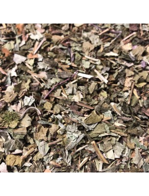 Image de Lierre terrestre - Partie aérienne coupée 100g - Tisane Glechoma hederacea. depuis ▷▷ Tisanes de plantes commençant par la lettre L