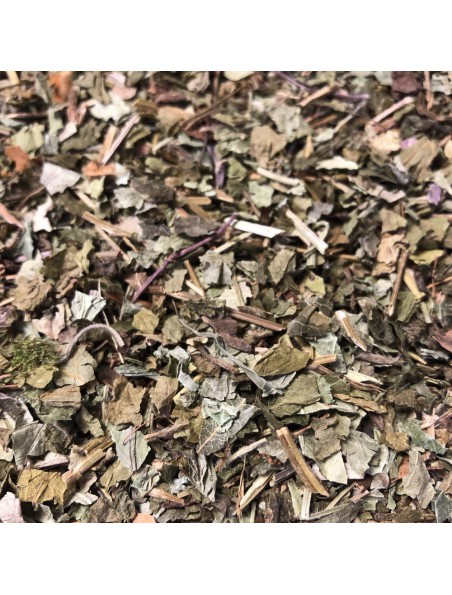 Achetez Lierre terrestre - Partie aérienne coupée 100g - Tisane Glechoma hederacea. à l'herboristerie Louis Image principale de Lierre terrestre - Partie aérienne coupée 100g - Tisane Glechoma hederacea.