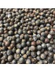 Genévrier Bio - Baies 100g - Tisane Juniperus communis L.