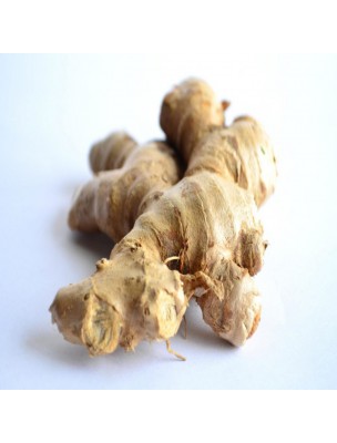 Image 20386 supplémentaire pour Curcuma Bio - Racine coupée 100g - Tisane Curcuma longa