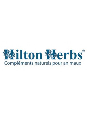 Detox Support - Détoxination du chien 60g - Hilton Herbs