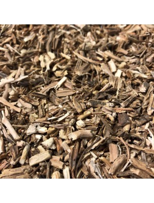 Image de Salsepareille grise du Mexique - Racine coupée 100g - Tisane Smilax medica. depuis ▷▷ Tisanes de plantes commençant par la lettre S