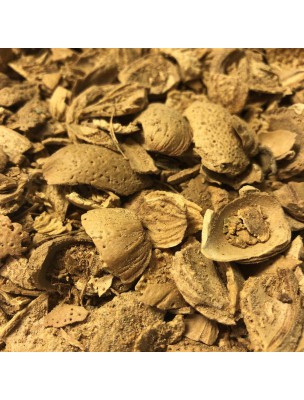 Image de Almond - Cut shell 100g - Herbal tea Amygdalus communis depuis Depurative plants to eliminate waste from the body