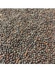 Moutarde Brune Bio - Graines 100g - Tisane Brassica junicea L.