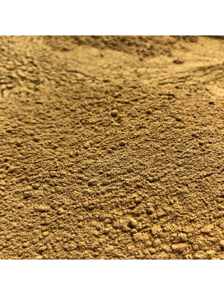 Image principale de la modale pour Chicorée Bio - Racine poudre 100g - Tisane Cichorium intybus L.