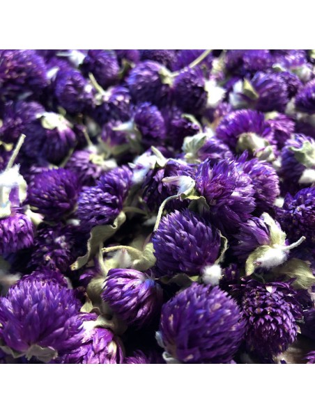 Image principale de Amarantine Bio - Fleur 100g - Gomphrena globosa L.