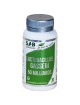 Lactobacillus Gasseri 50 milliards - Probiotique 30 gélules - SFB Laboratoires